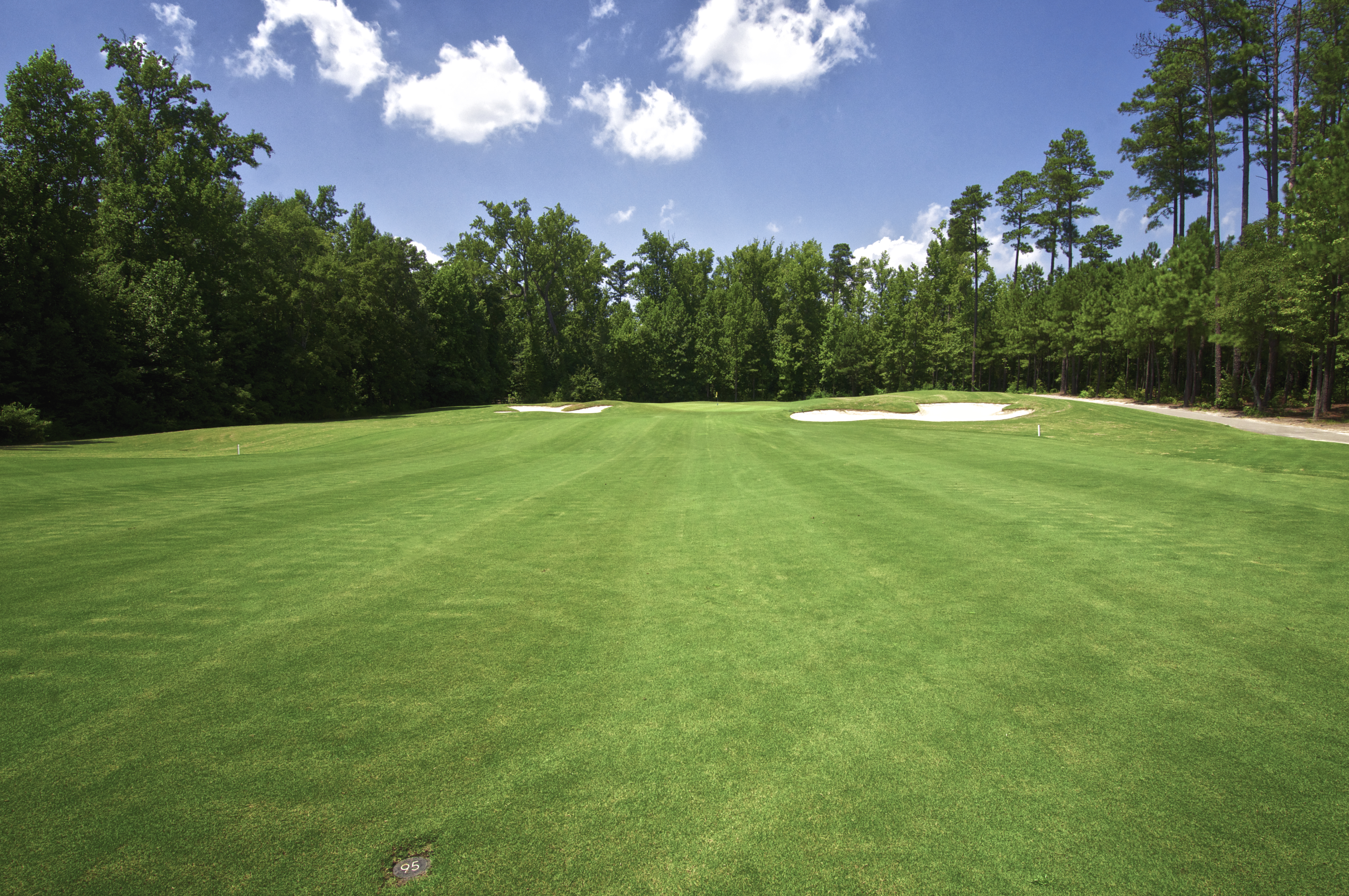 View of golf course fairway