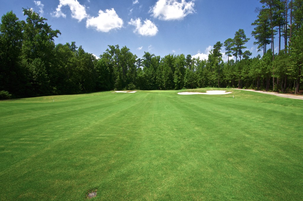 View of golf course with bunkers