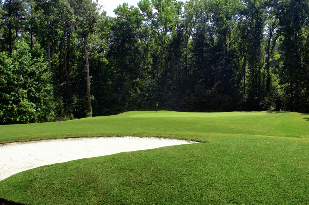 Bunker on golf course