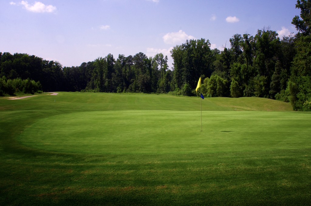 Flag over hole on golf course